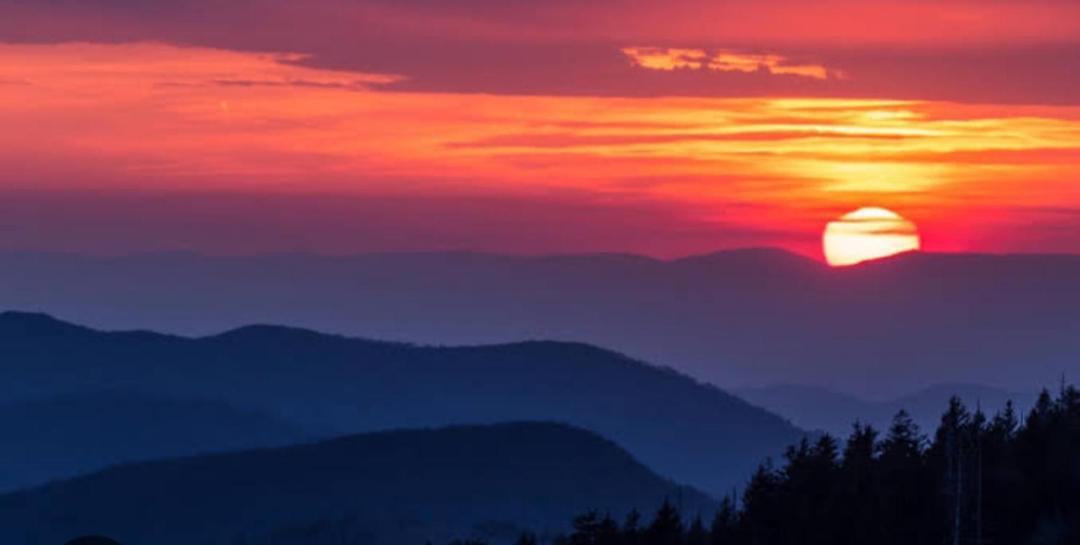 The Sunset Nest Offbeat Homestay Νταρτζίλινγκ Εξωτερικό φωτογραφία