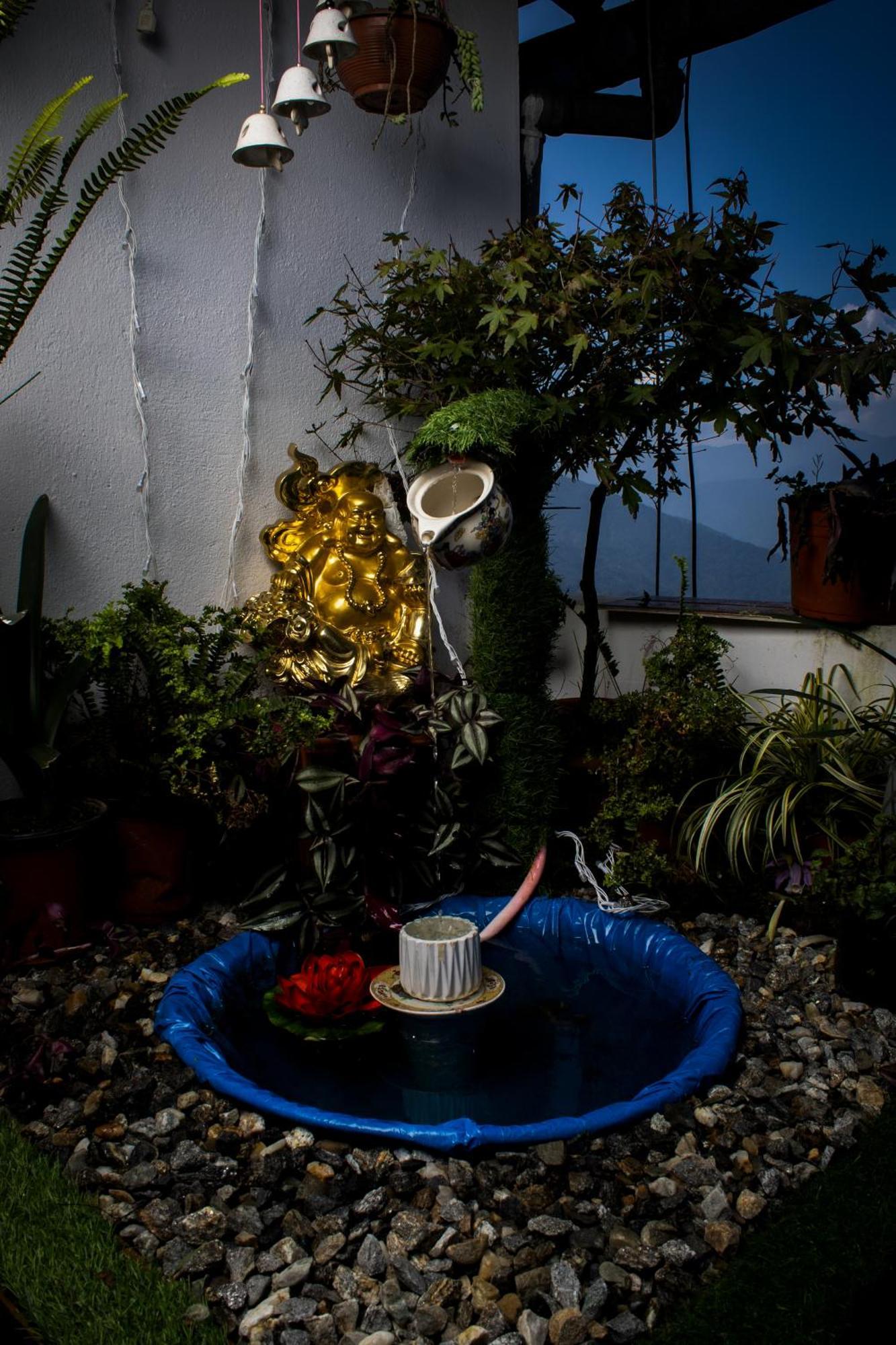 The Sunset Nest Offbeat Homestay Νταρτζίλινγκ Εξωτερικό φωτογραφία